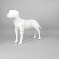 Victoria - Labrador Mannequin