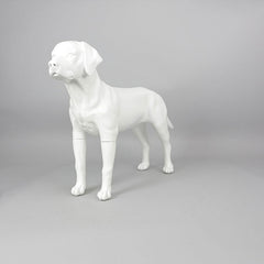 Victoria - Labrador Mannequin