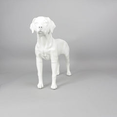 Victoria - Labrador Mannequin