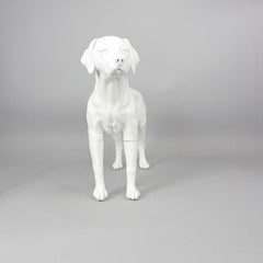 Victoria - Labrador Mannequin