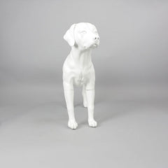 Victoria - Labrador Mannequin