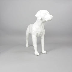 Victoria - Labrador Mannequin