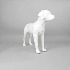 Victoria - Labrador Mannequin