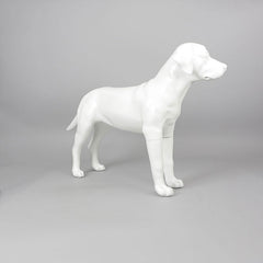 Victoria - Labrador Mannequin