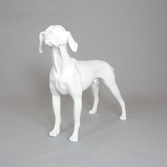 William - German Pointer Mannequin, Anti-Scratch White