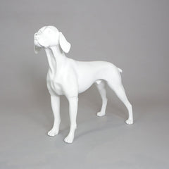 William - German Pointer Mannequin, Anti-Scratch White