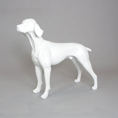 William - German Pointer Mannequin, Anti-Scratch White