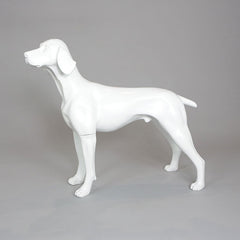 William - German Pointer Mannequin, Anti-Scratch White