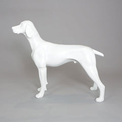 William - German Pointer Mannequin, Anti-Scratch White