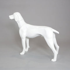 William - German Pointer Mannequin, Anti-Scratch White