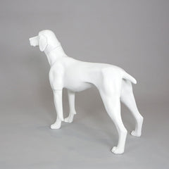 William - German Pointer Mannequin, Anti-Scratch White