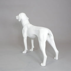 William - German Pointer Mannequin, Anti-Scratch White