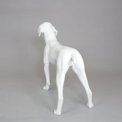 William - German Pointer Mannequin, Anti-Scratch White