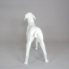 William - German Pointer Mannequin, Anti-Scratch White