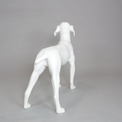 William - German Pointer Mannequin, Anti-Scratch White