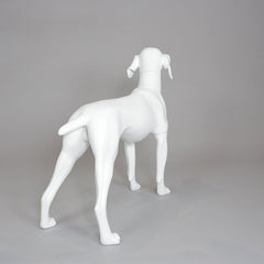 William - German Pointer Mannequin, Anti-Scratch White