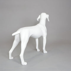 William - German Pointer Mannequin, Anti-Scratch White