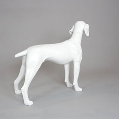 William - German Pointer Mannequin, Anti-Scratch White