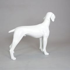 William - German Pointer Mannequin, Anti-Scratch White