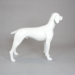 William - German Pointer Mannequin, Anti-Scratch White