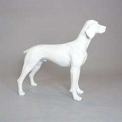 William - German Pointer Mannequin, Anti-Scratch White