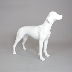 William - German Pointer Mannequin, Anti-Scratch White