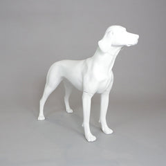 William - German Pointer Mannequin, Anti-Scratch White