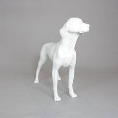 William - German Pointer Mannequin, Anti-Scratch White