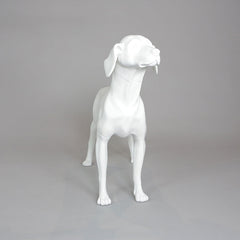 William - German Pointer Mannequin, Anti-Scratch White