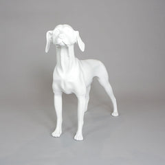 William - German Pointer Mannequin, Anti-Scratch White