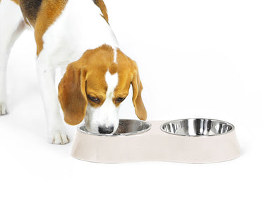 Concave Double Feeding Dog Bowl