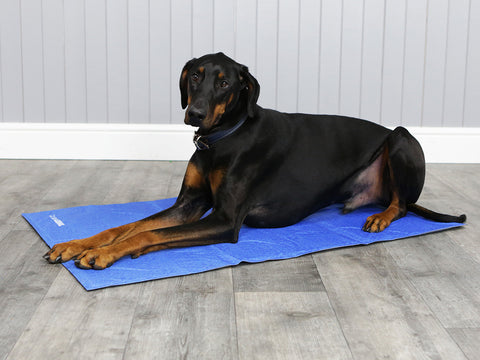 ClimaCOOL Self Cooling Dog Mat (Large – X-Large)