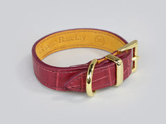 Holmsley Leather Collar – Oxblood Red </br> X-Small, 24 - 28cm (9.5 - 11in.)